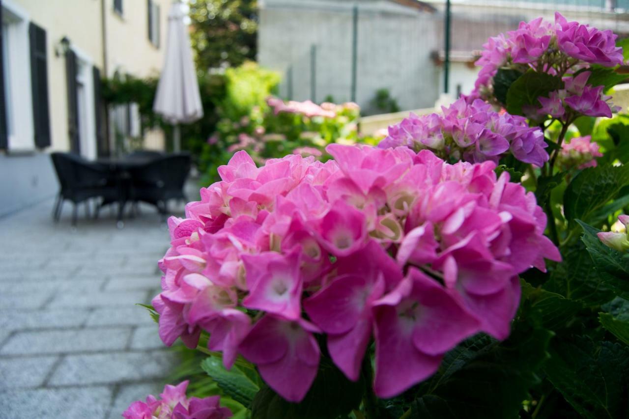 Giardino Delle Ortensie كانوبيو المظهر الخارجي الصورة